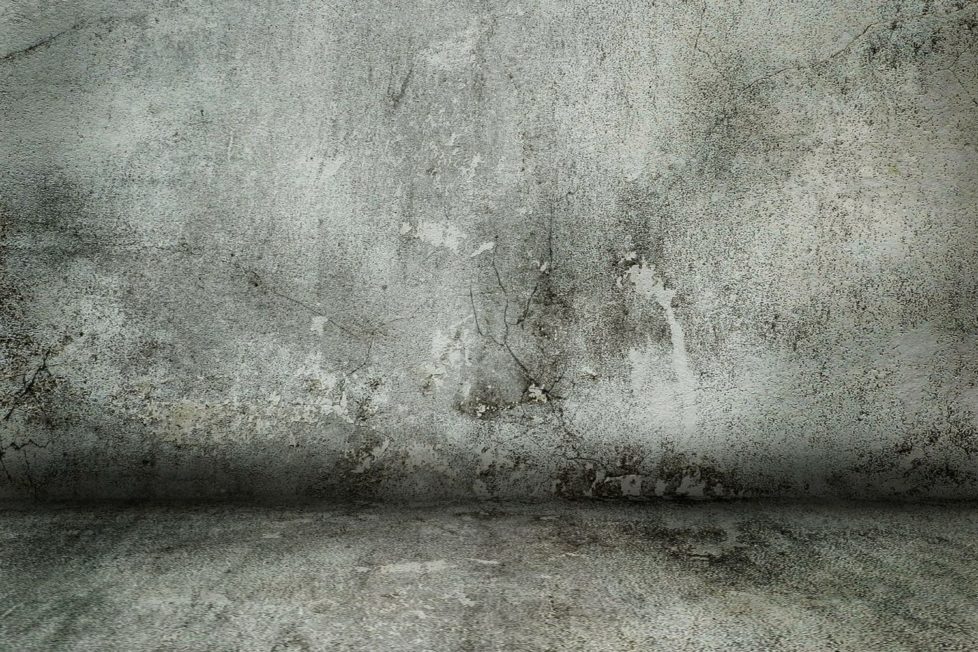 concrete-wall-331294_1920