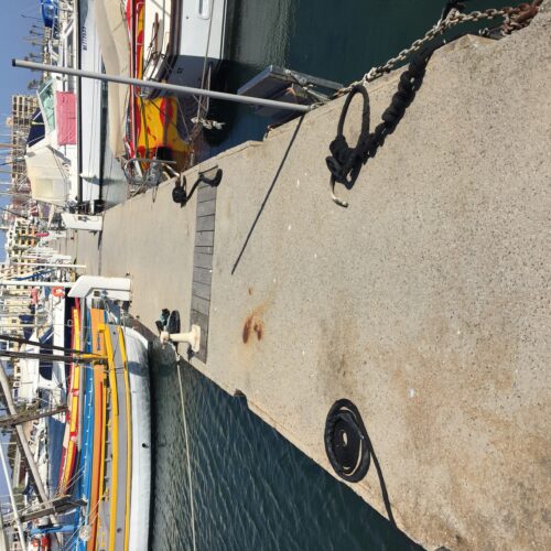 Port de Barcarès : diagnostic en bateau, sur ponton et à la nage !