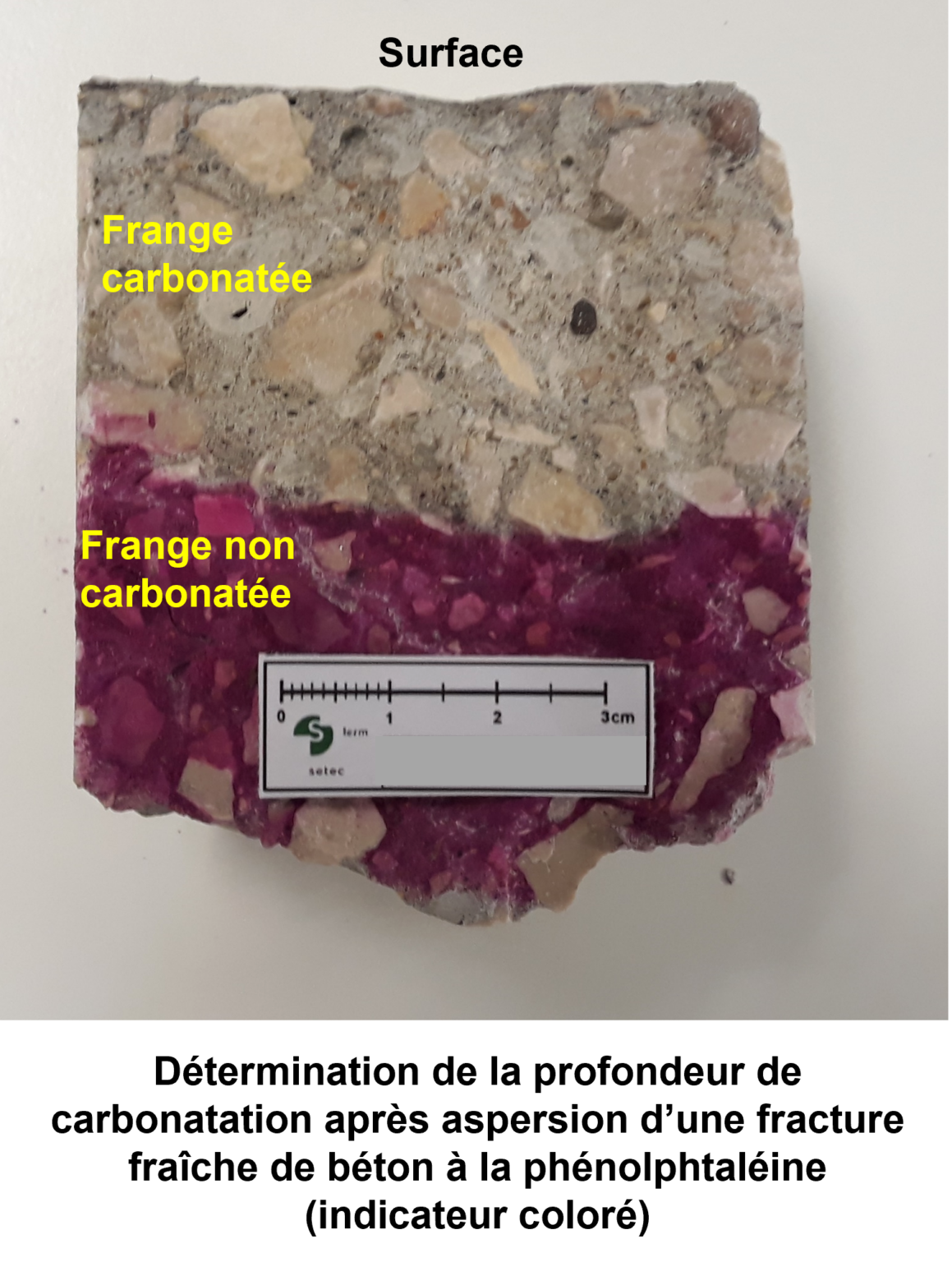 Publication de setec lerm dans Bétons Magazine la carbonatation Lerm
